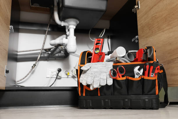 Best Same-Day Plumbing Service  in Lewistown, IL