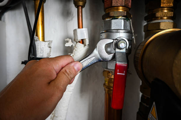Best Plumbing Services Near Me  in Lewistown, IL